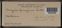 Image Associated With the Occurence